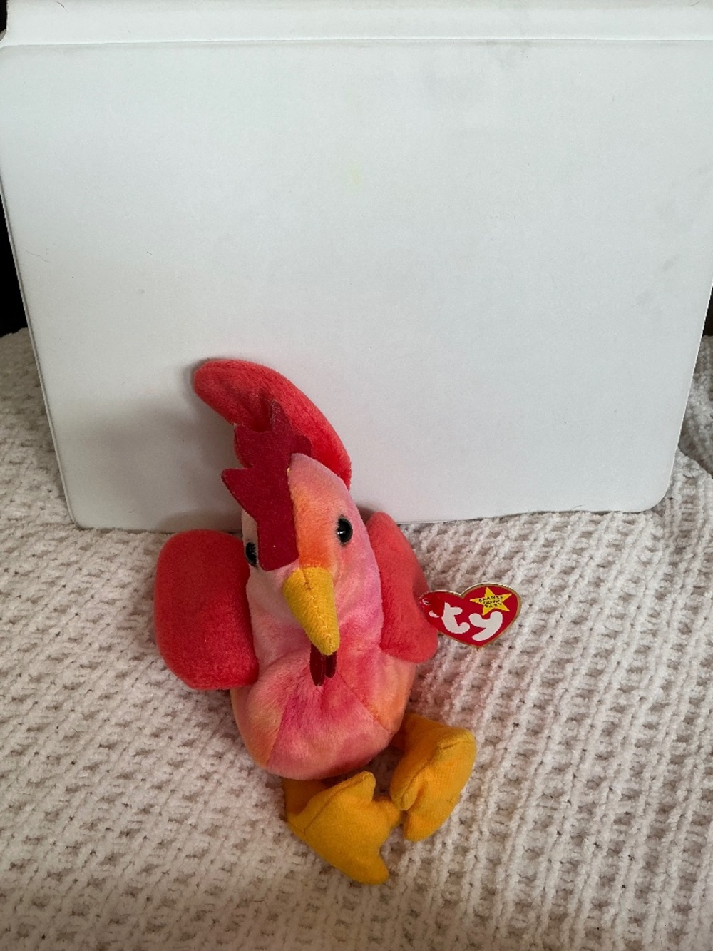 Strut (Ty Beanie Baby Collection)